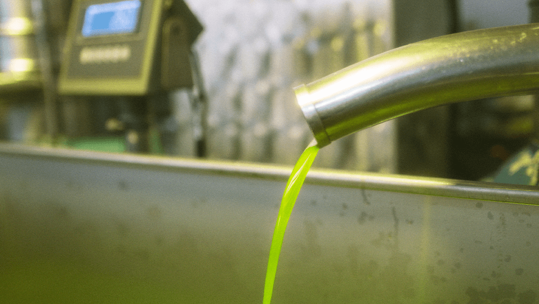 Patima Olive Oil Production Aleksakis family (2)