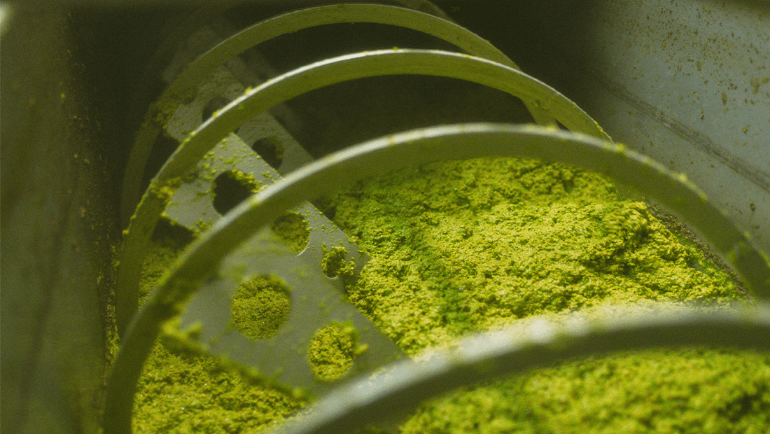 Patima Olive Oil Production Aleksakis family (3)